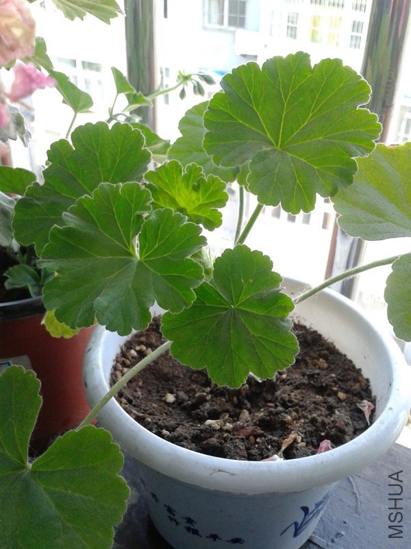 2014-05-28 09.59.32_����.jpg