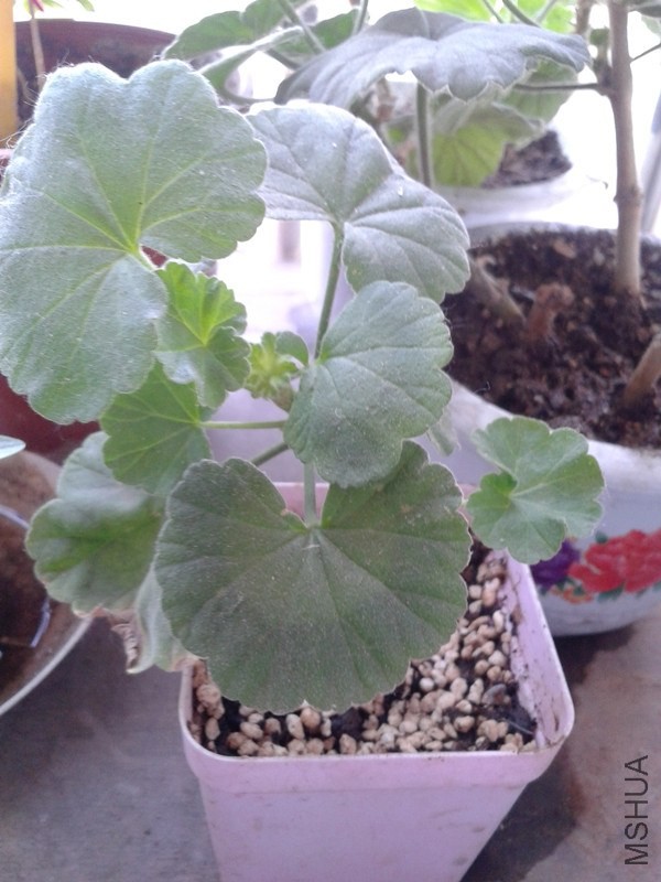 2014-05-28 09.59.05_����.jpg