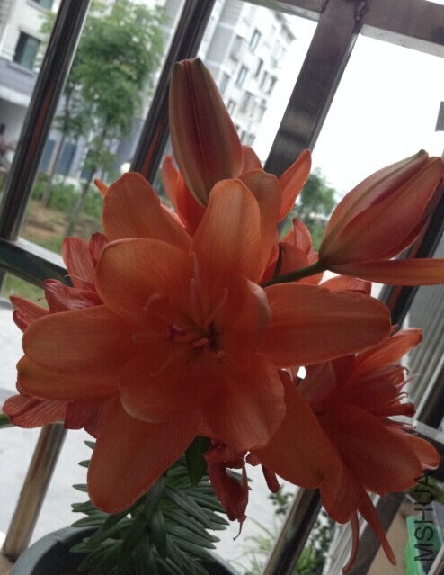 QQͼƬ20140603144810.jpg