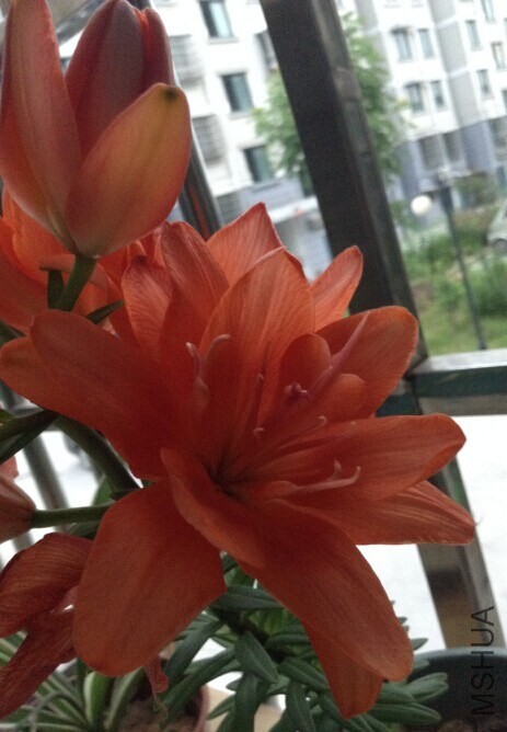 QQͼƬ20140603144835.jpg