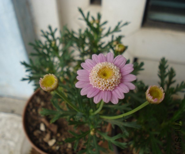 QQͼƬ20140603172630.jpg