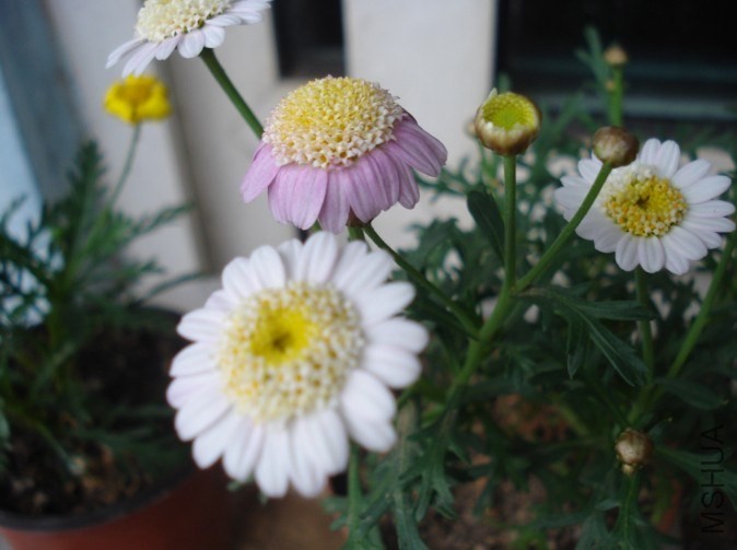 QQͼƬ20140603172701.jpg