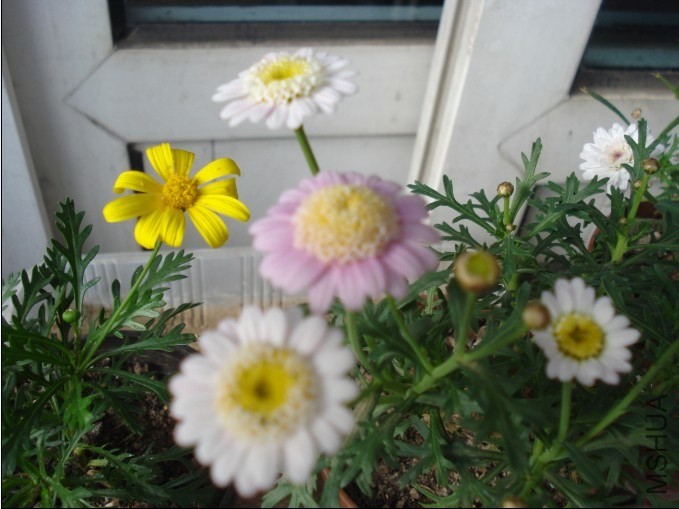 QQͼƬ20140603172720.jpg