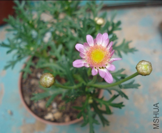 QQͼƬ20140603172736.jpg
