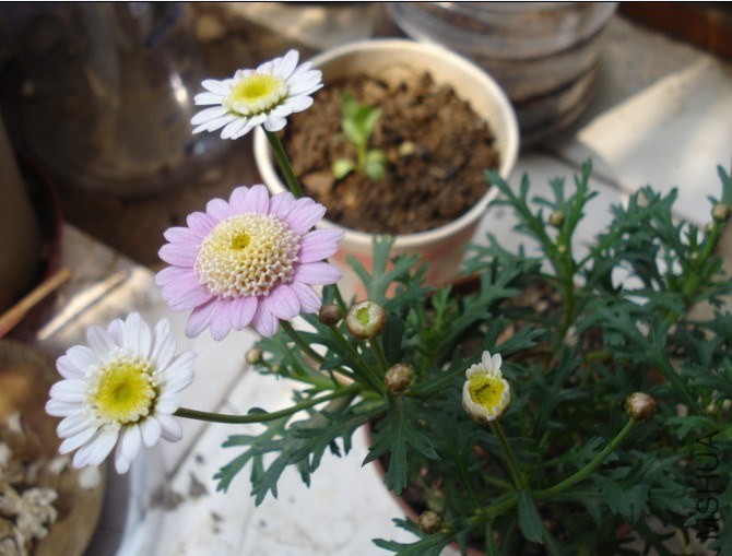QQͼƬ20140603172814.jpg