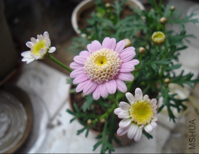 QQͼƬ20140603172756.jpg