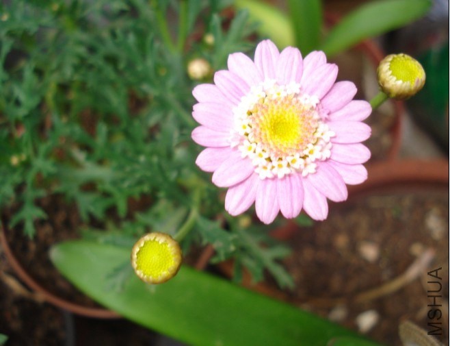 QQͼƬ20140603172851.jpg