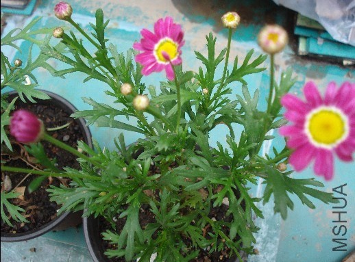 QQͼƬ20140603173407.jpg
