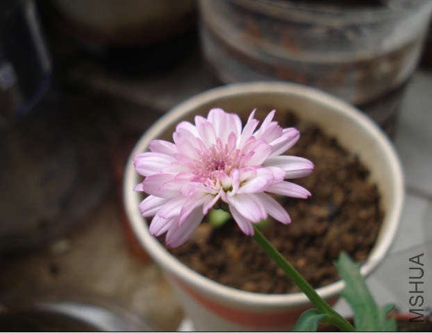 QQͼƬ20140603173212.jpg