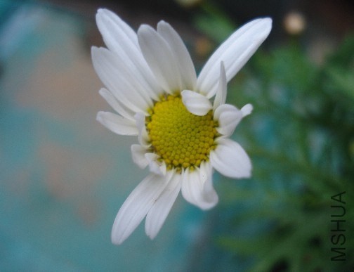 QQͼƬ20140603173509.jpg