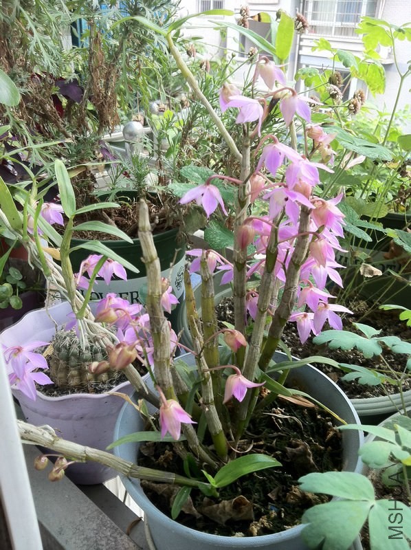 ��Ƭ 096.jpg
