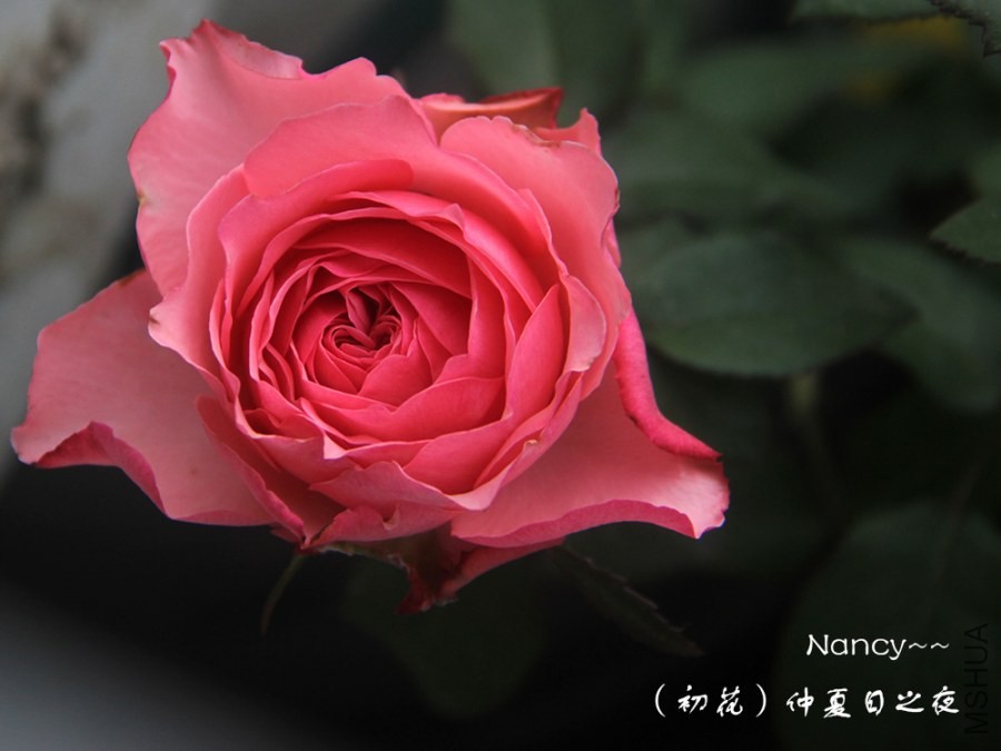 ������֮ҹ