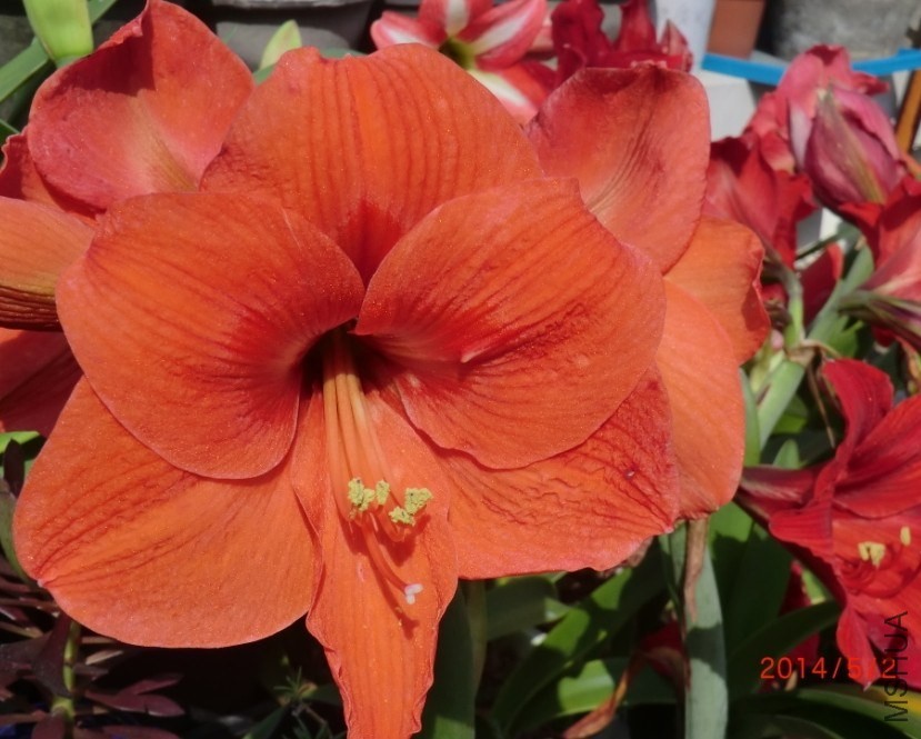 QQͼƬ20140502121615.jpg
