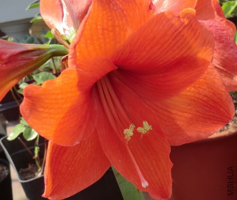 QQͼƬ20140502121744.jpg