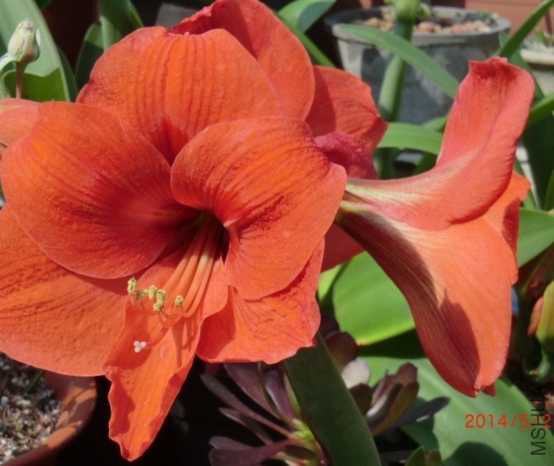 QQͼƬ20140502130749.jpg
