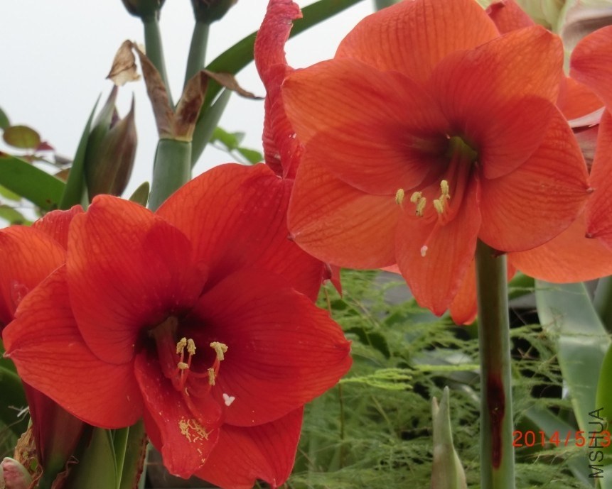 QQͼƬ20140503173217.jpg