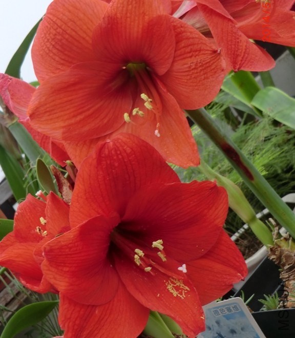 QQͼƬ20140505140639.jpg