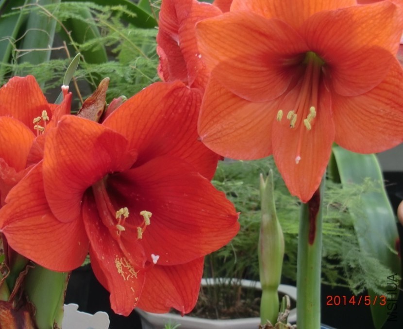 QQͼƬ20140503173145.jpg