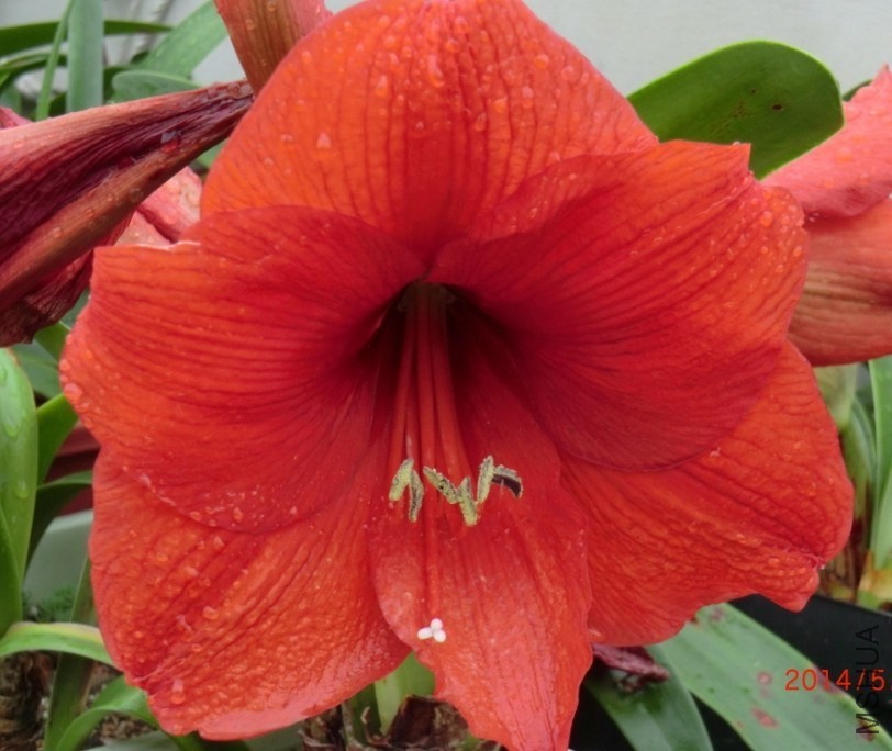 QQͼƬ20140510125846.jpg
