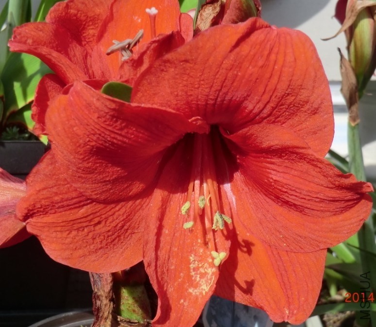 QQͼƬ20140505142536.jpg