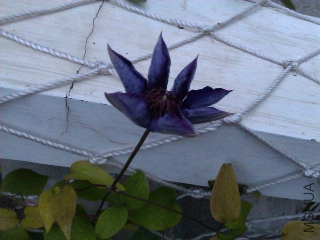 IMAG1041_nEO_IMG.jpg