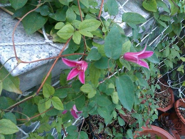 IMAG1043_nEO_IMG.jpg