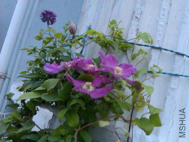 IMAG1046_nEO_IMG.jpg