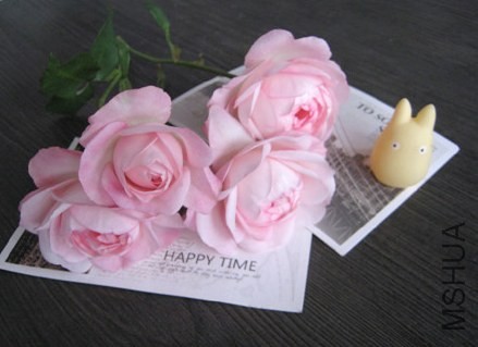 ��ݮ���ʱ�.jpg