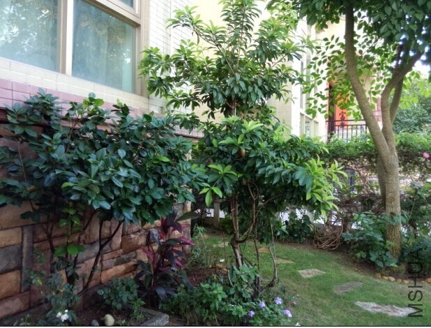 ���ϵ�ʱ��������