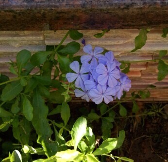 ��ѩȥ���֧�ˣ�һ�̷ֳ������á�