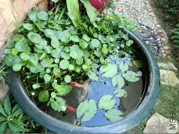 ��Ҳ�����������㻹��Ǯ�˰�