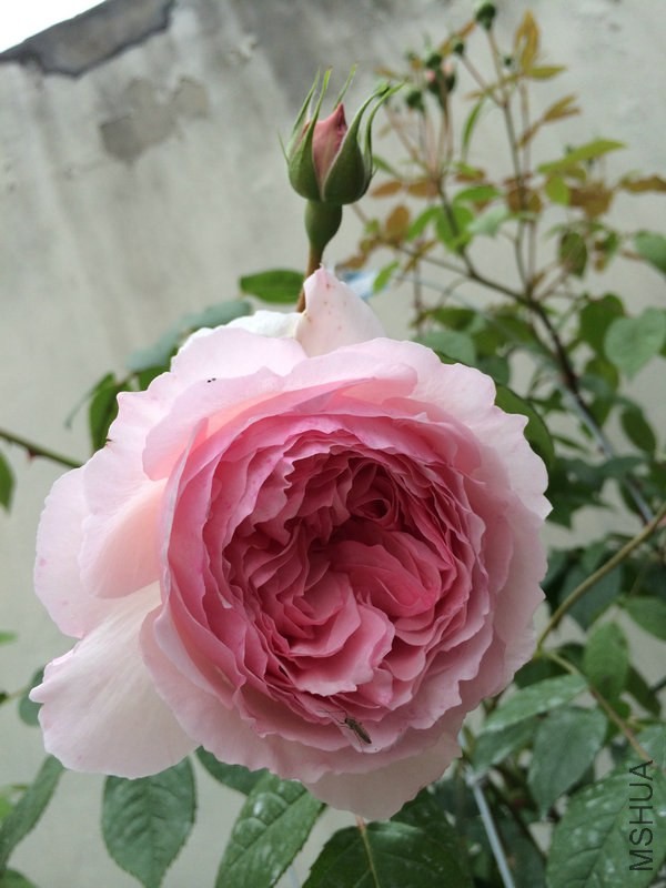 ����  ���.JPG