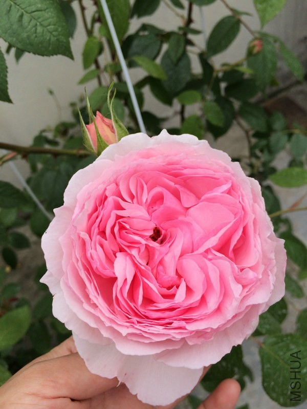 ������   ��.JPG