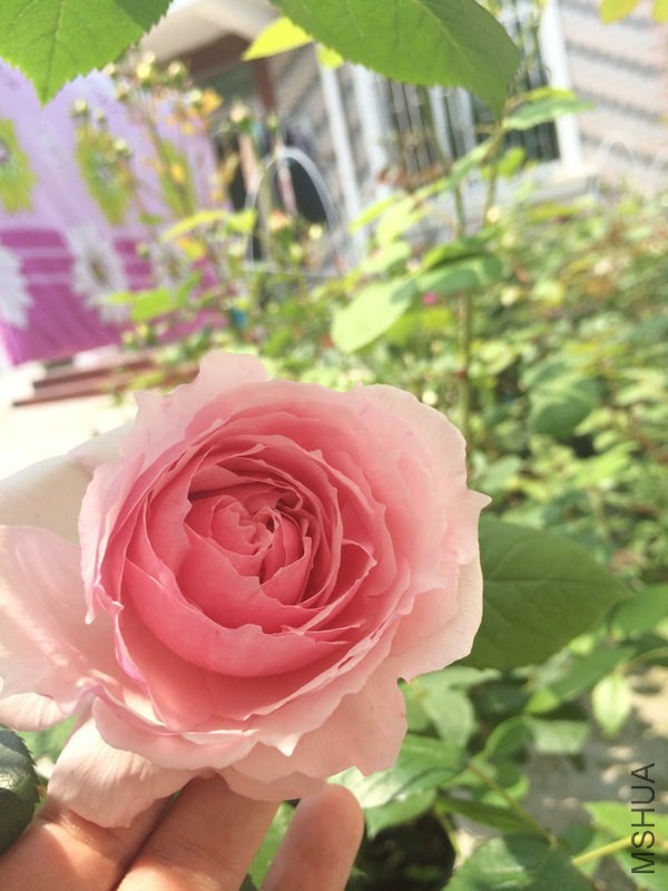 �������    .JPG