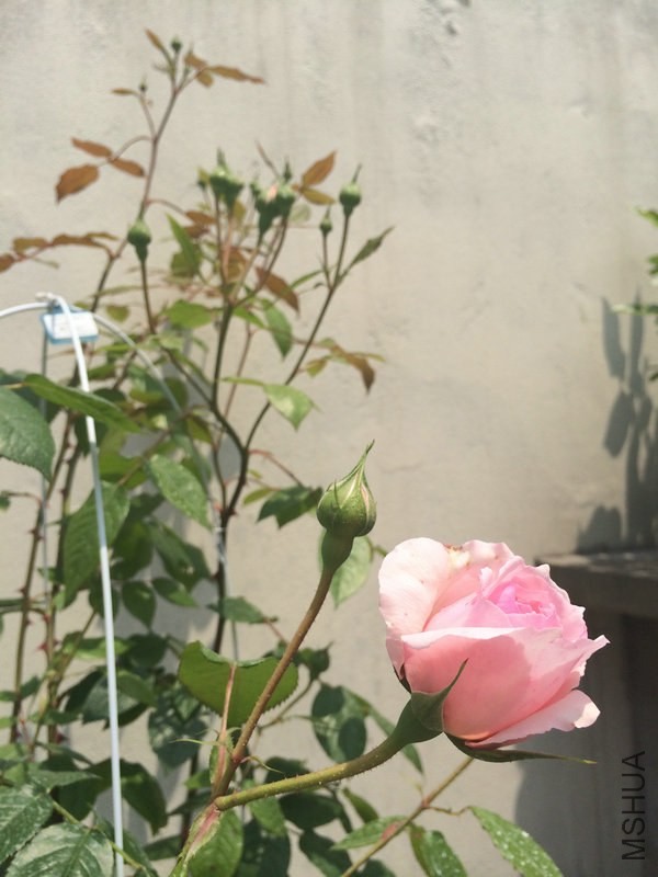 �������  .JPG