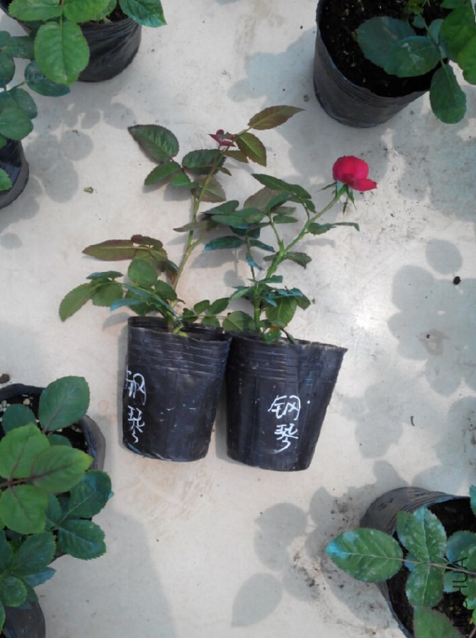 QQ��ͼ20140604154417.jpg
