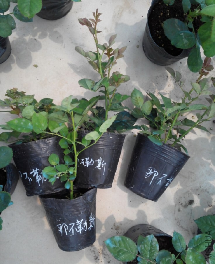 QQ��ͼ20140604154423.jpg