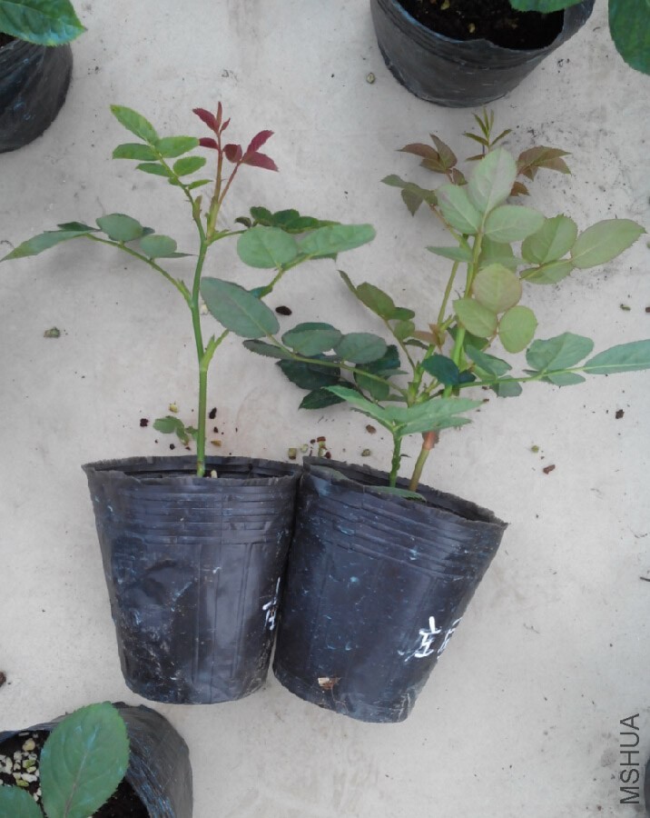 QQ��ͼ20140604154437.jpg