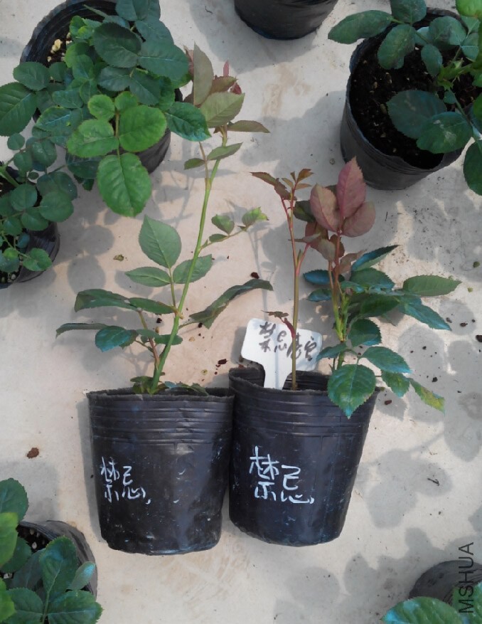 QQ��ͼ20140604154443.jpg