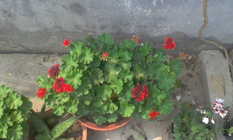 2014-06-03 14.26.56.jpg
