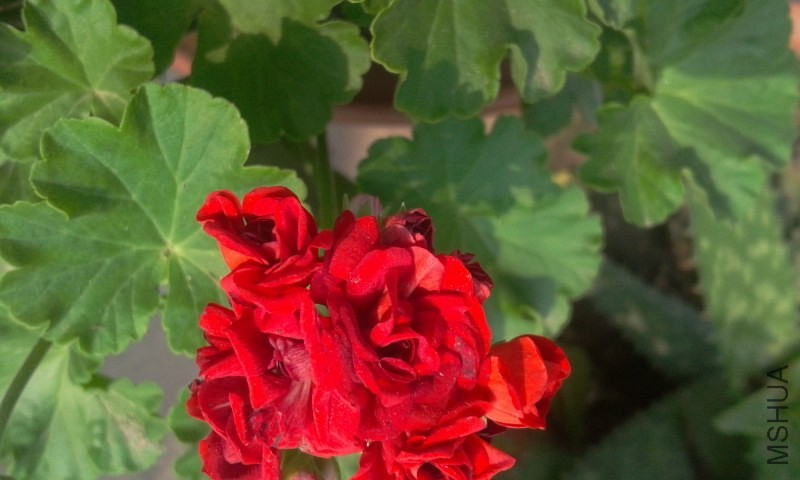 2014-06-03 14.26.39.jpg