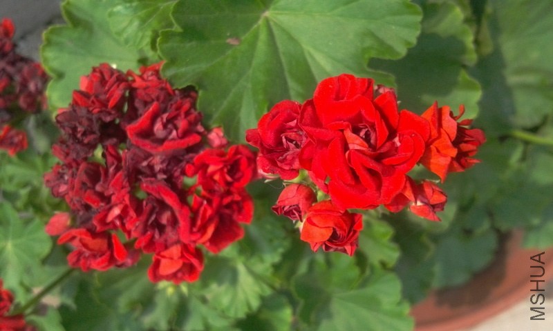 2014-06-03 14.26.33.jpg