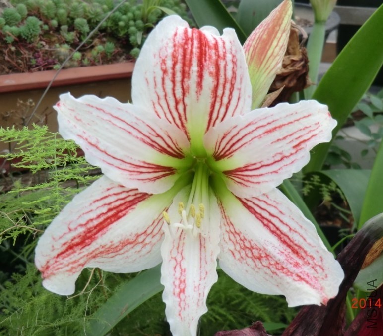 QQͼƬ20140522184923.jpg