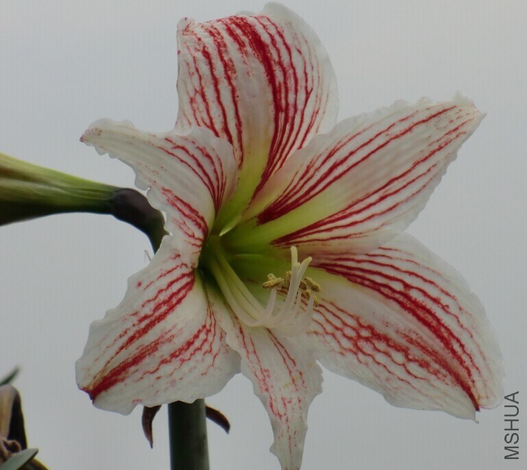 QQͼƬ20140525115524.jpg
