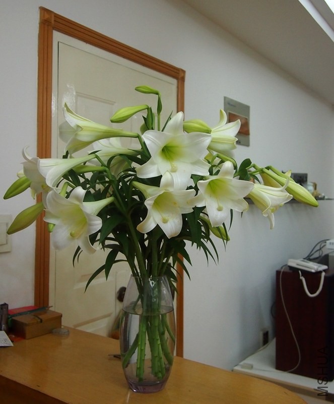 P6040588_����.jpg