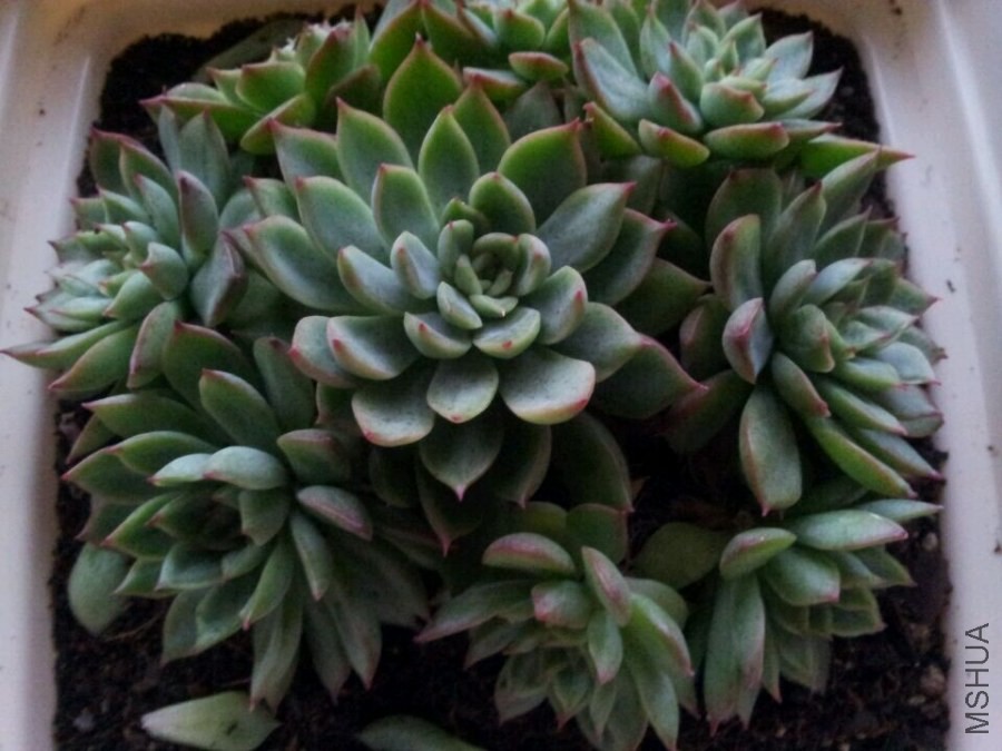 QQͼƬ20140604203654.jpg