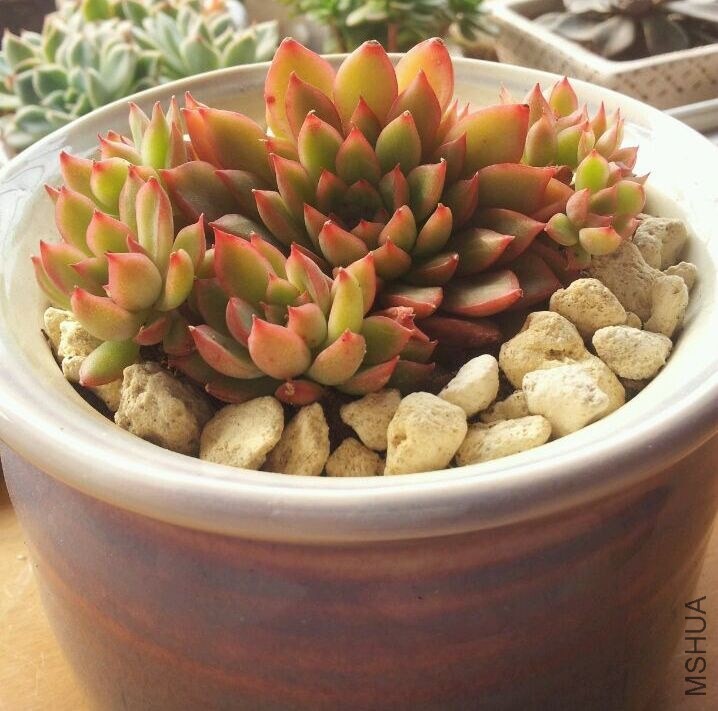 QQͼƬ20140604205932_����.jpg