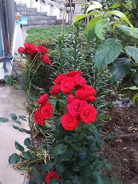 IMAG0992_nEO_IMG.jpg