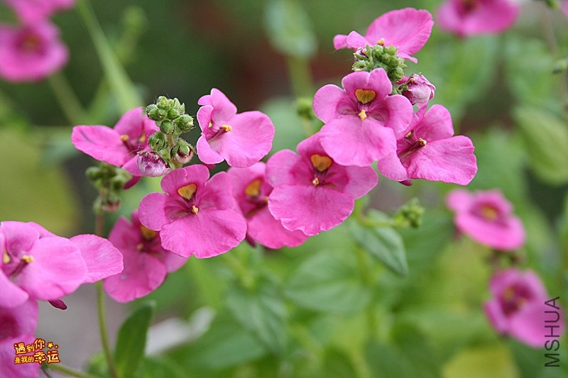 IMG_7487_���� .jpg