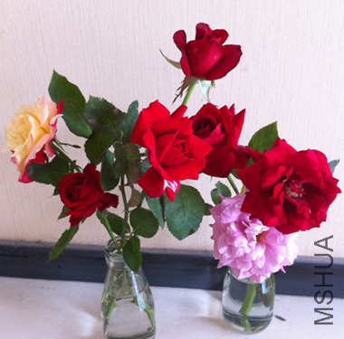 QQ��ͼ20140605125036.png